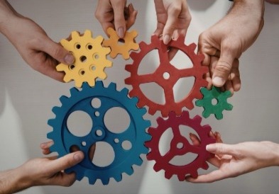 ECCO IL TEAM MGX DEL ROTARY INTERNATIONAL