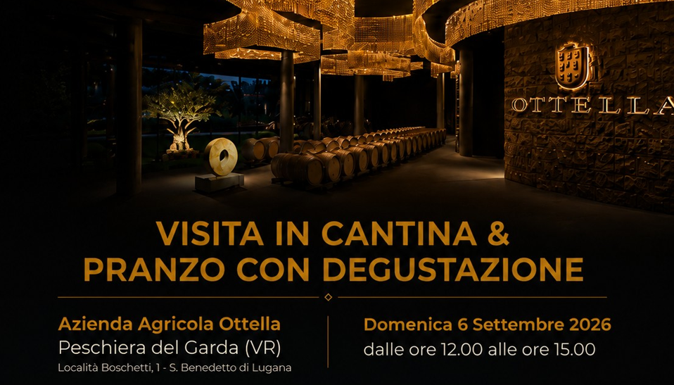 6 SETTEMBRE 2026 - ARTE, VINO E TERRITORIO : LA ROTARY WINE FELLOWSHIP D2060 IN VISITA A OTELLA
