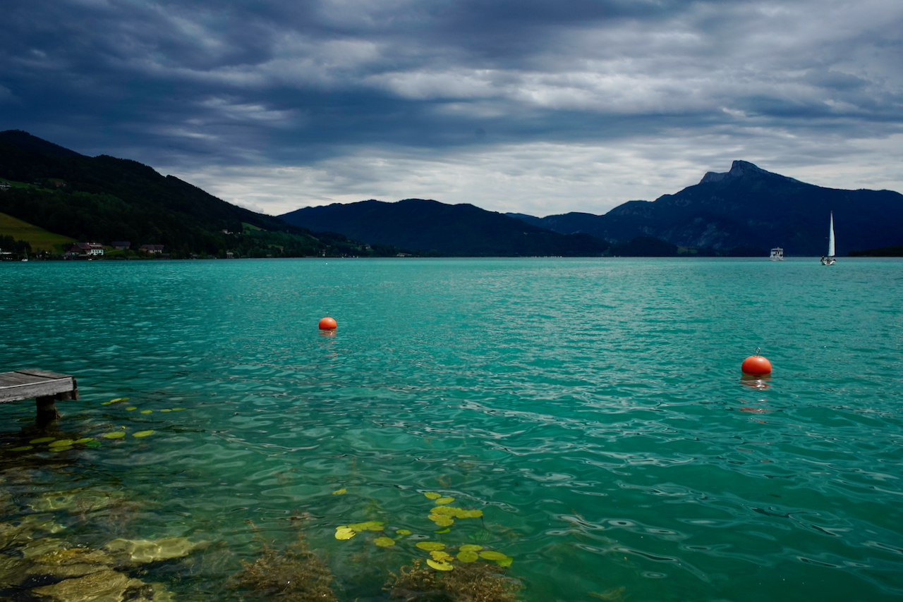 ARACI in Austria - 152.jpeg